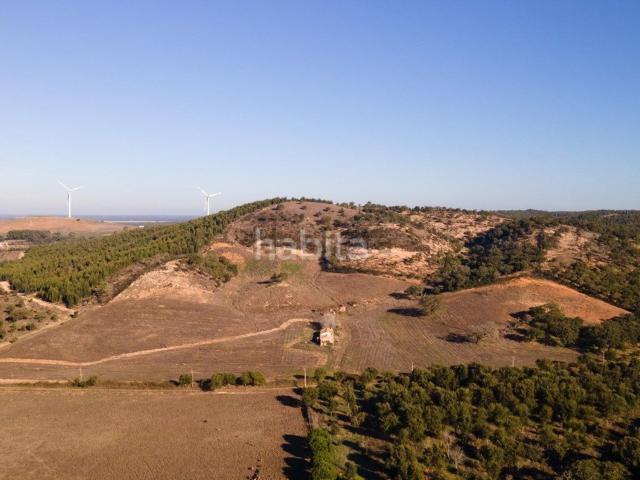 Quinta venda em Sines, Setúbal