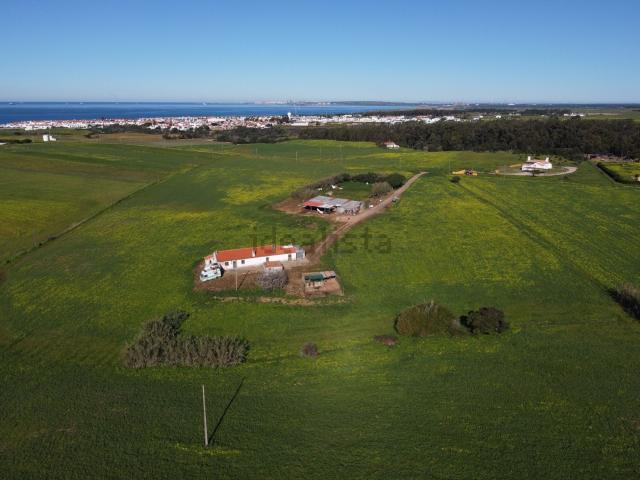 Quinta venda em Sines, Setúbal