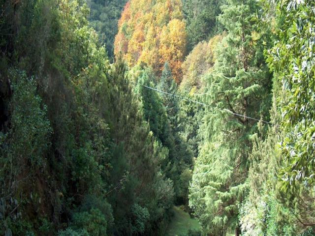 Quinta venda em Machico, Ilha Da Madeira
