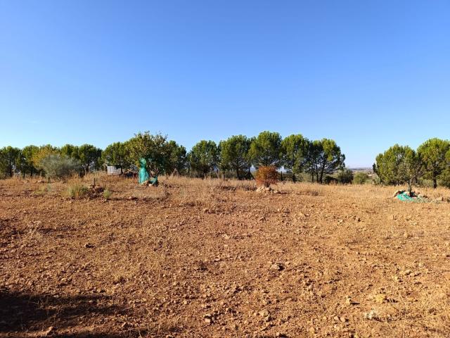 Casa Rural en venta en Povedilla, Castilla-La Mancha
