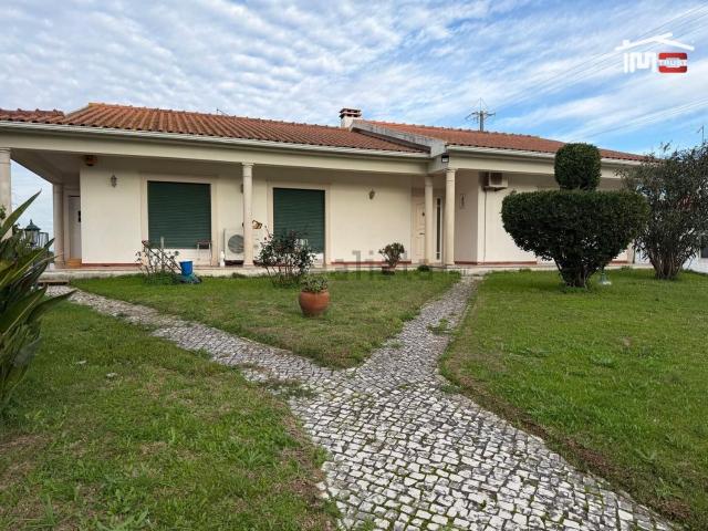 Quinta venda em Santarém