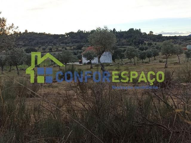 Quinta venda em Castelo Branco