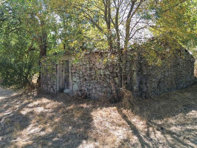 Quinta venda em Castelo Branco