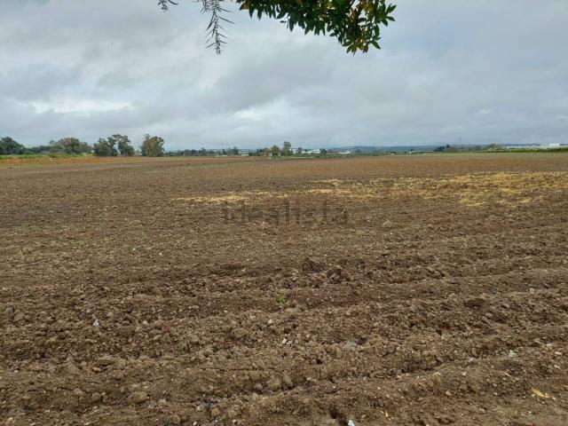 Casa Rural en venta en Campiña de Jerez, Andalucía