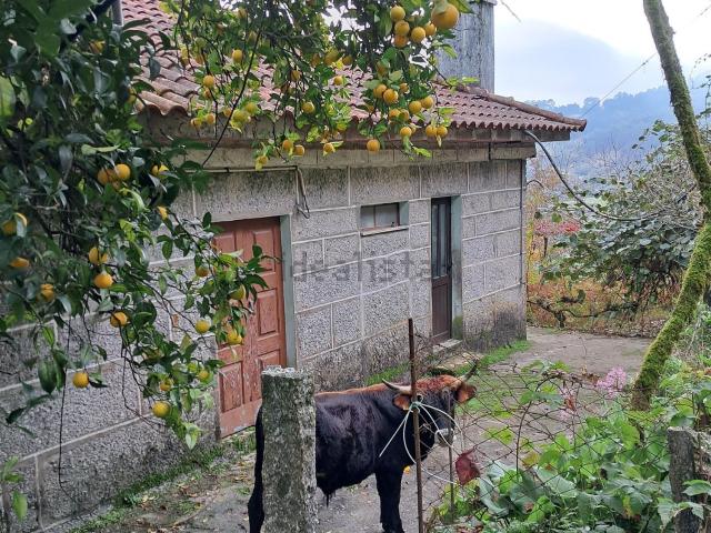Quinta venda em Arcos De Valdevez, Viana Do Castelo