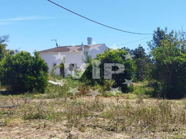 Quinta venda em Passis, Loulé