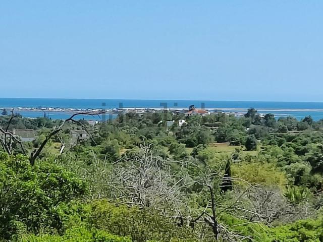 Quinta venda em Quatrim, Olhão