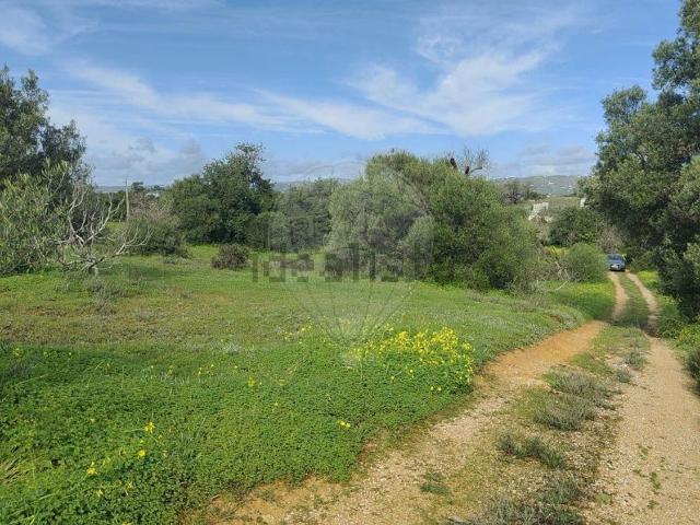 Quinta venda em Brancanes, Quelfes