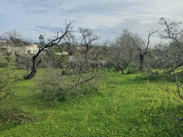 Quinta venda em Brancanes, Quelfes