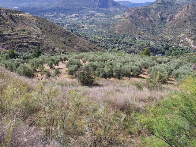 Casa Rural en venta en Quéntar