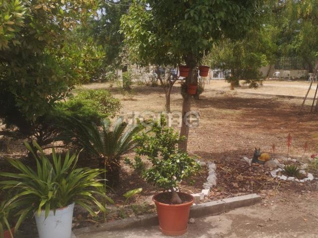 Quinta venda em Quinta do Anjo, Quinta Do Anjo