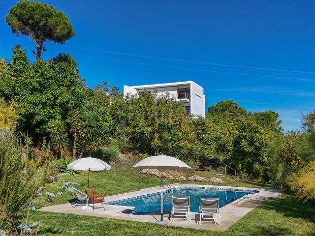 Quinta venda em Palmela, Setúbal