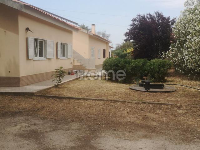 Quinta venda em Palmela, Setúbal