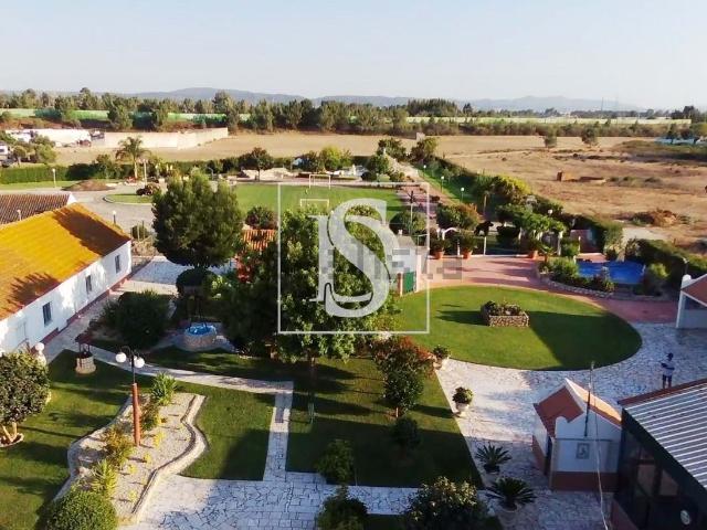 Quinta venda em Palmela, Setúbal