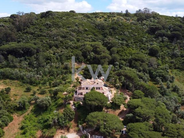 Quinta venda em Palmela, Setúbal