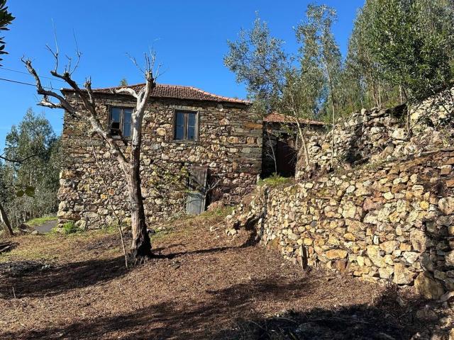 Quinta venda em Castelo De Paiva, Aveiro