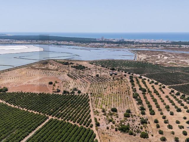 Quinta venda em Porto