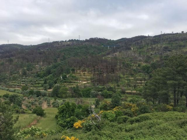 Quinta venda em Guarda