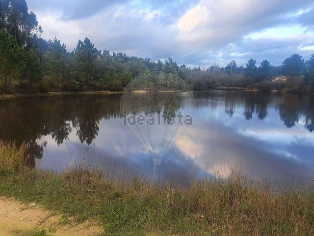 Quinta venda em Almeirim, Santarém