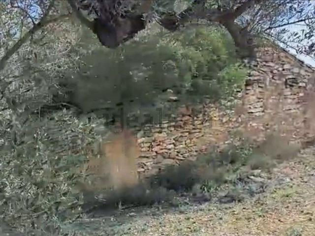 Casa Rural en venta en Ribera d'Ebre, Catalunya