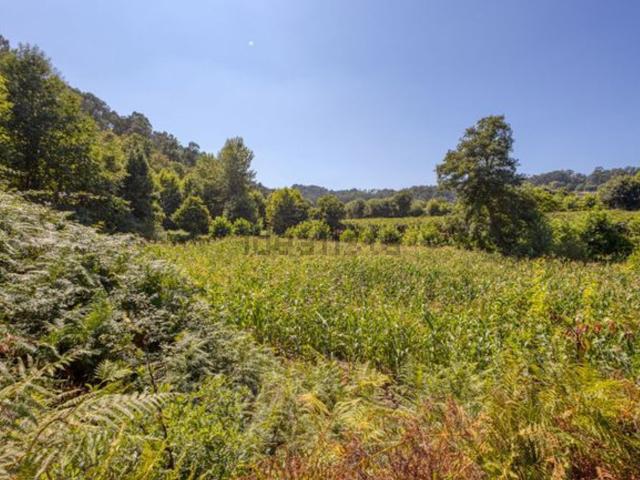 Quinta venda em Amarante, Porto