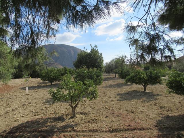 Casa Rural en venta en el Rebolledo, l'Alacantí