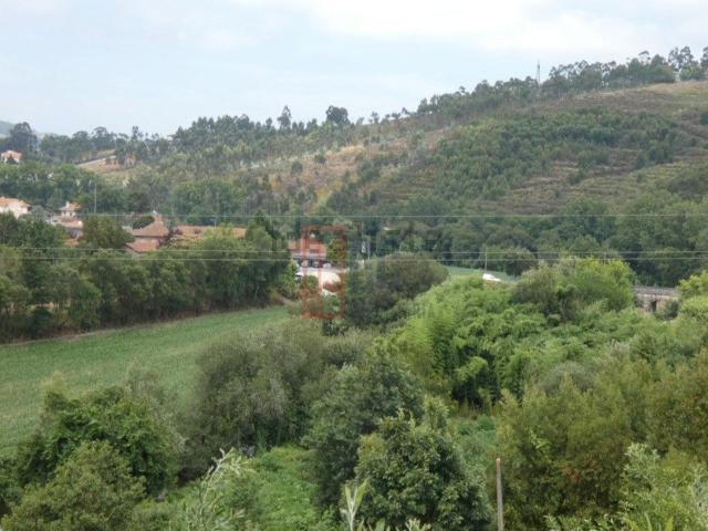 Quinta venda em Bitarães, Porto