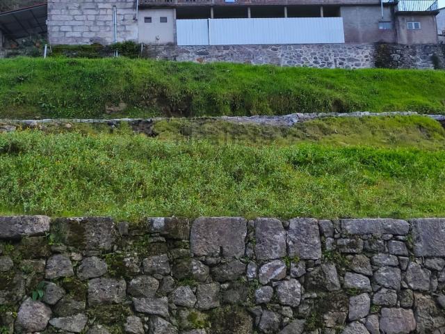 Quinta venda em Felgueiras, Regilde