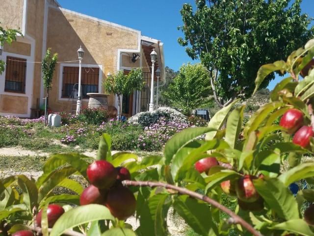 Casa Rural en venta en la Marina Baixa, Valencia