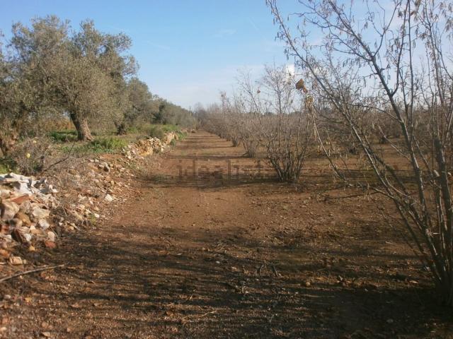 Casa Rural en venta en Pelai, Baix Camp