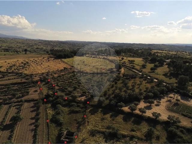 Quinta venda em Ribamondego, Ribamondego