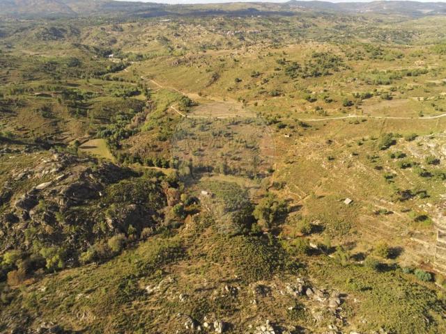 Quinta venda em Ribamondego, Ribamondego