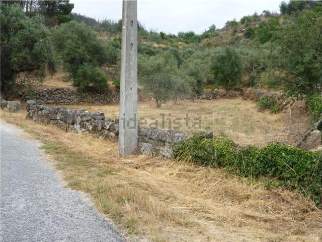 Quinta venda em Ribamondego, Ribamondego
