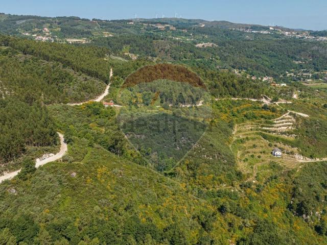 Quinta venda em Celorico De Basto, Braga