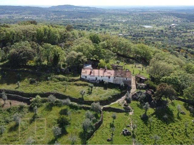 Quinta venda em Portalegre
