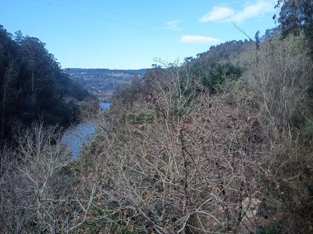 Quinta venda em Rio de Moinhos, Marecos