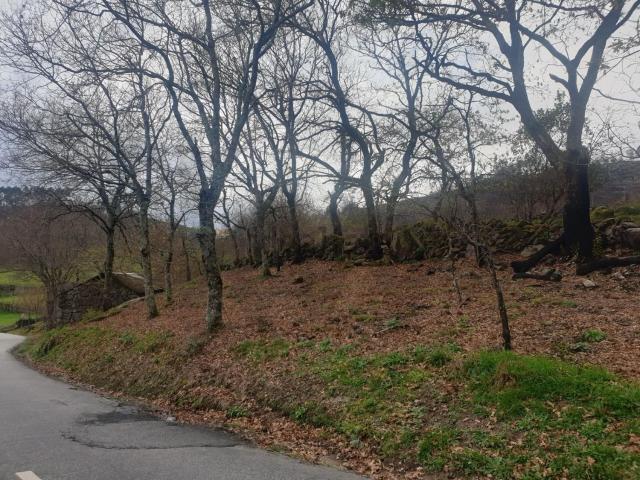 Quinta venda em Cabeceiras De Basto, Braga