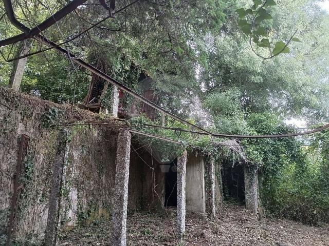 Quinta venda em Rio Frio, Arcos De Valdevez