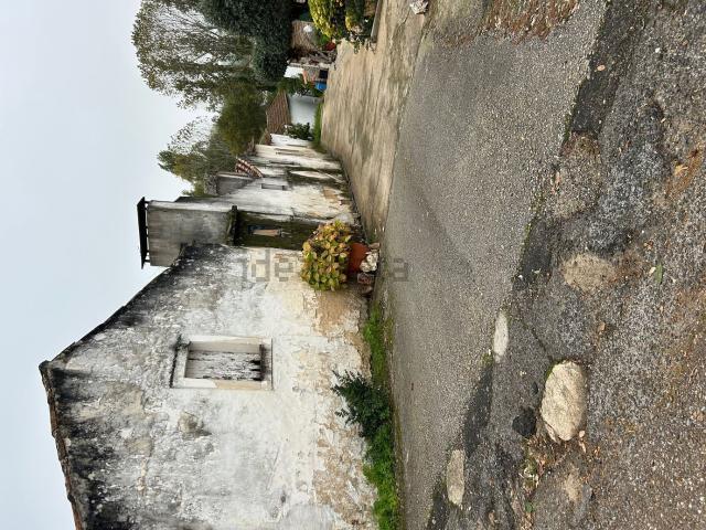 Quinta venda em Rio Maior, Santarém