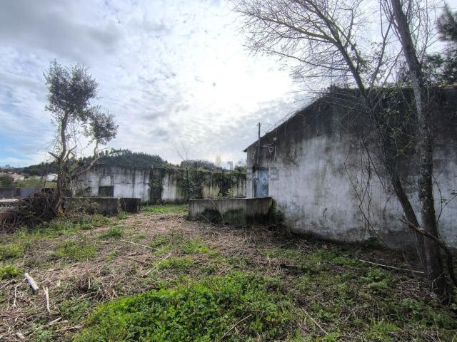 Quinta venda em Rio Maior, Santarém