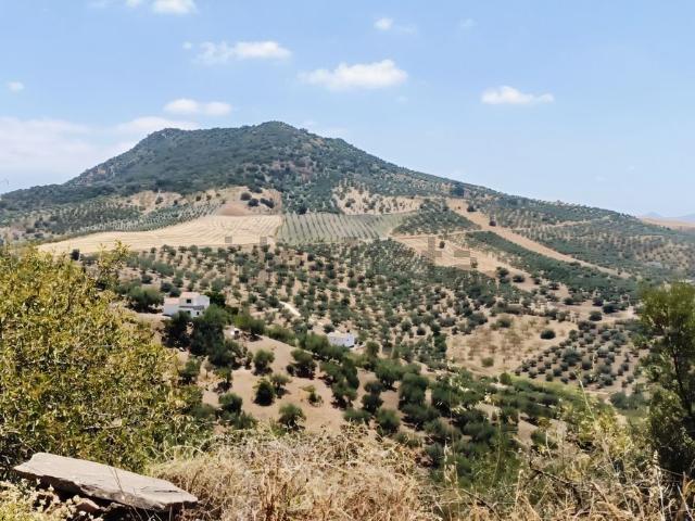 Casa Rural en venta en La Axarquía, Andalucía