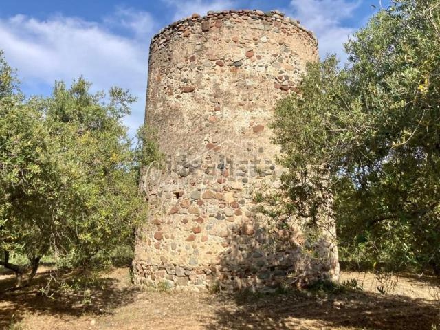 Casa Rural en venta en Riudoms, Tarragona