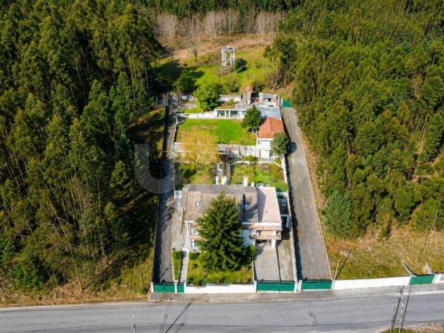 Quinta venda em Romariz, Santa Maria Da Feira