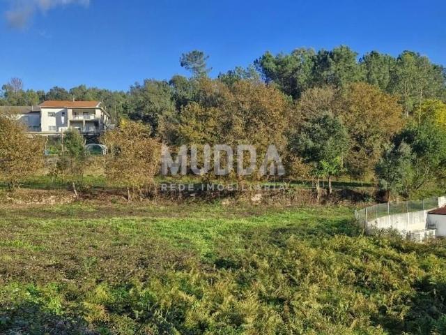 Quinta venda em Romariz, Santa Maria Da Feira