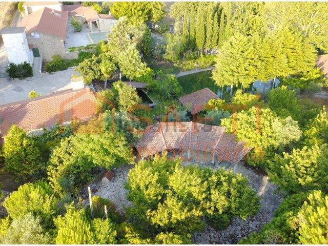 Quinta venda em Santarém