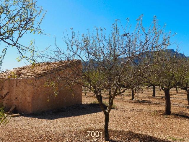 Casa Rural en venta en Baix Ebre, Catalunya