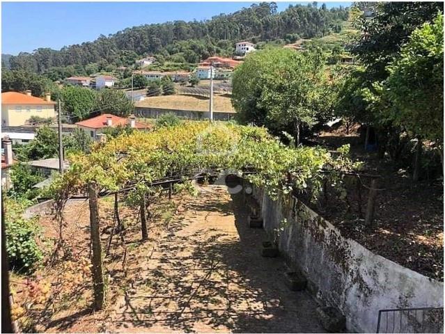 Quinta venda em Santo Tirso, Porto