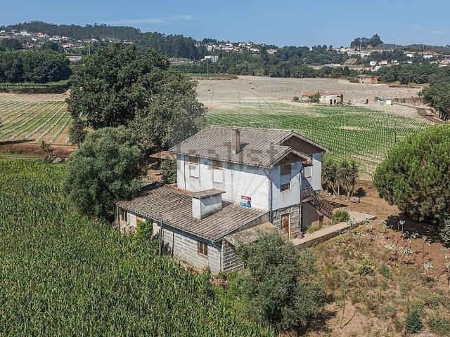 Quinta venda em Roriz, Santo Tirso