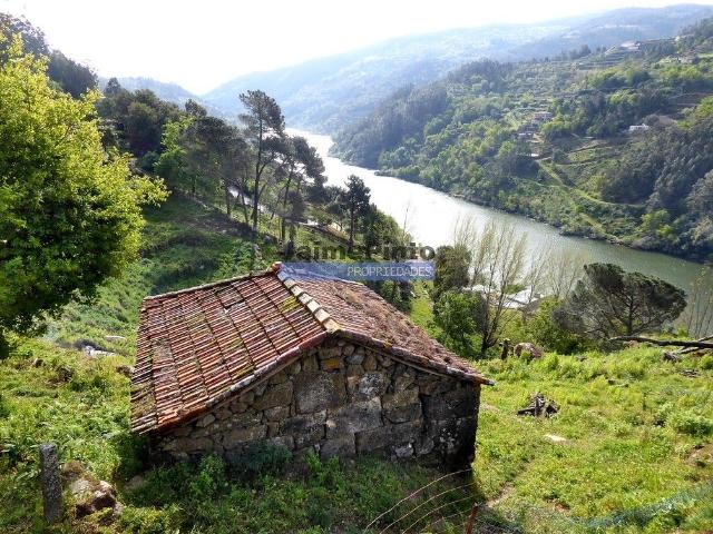 Quinta venda em Rio de Galinhas, Marco De Canaveses