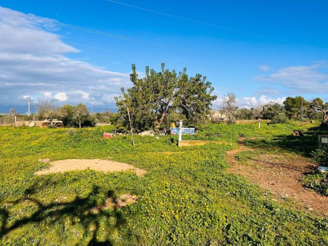 Casa Rural en venta en s'Arenal, Palma